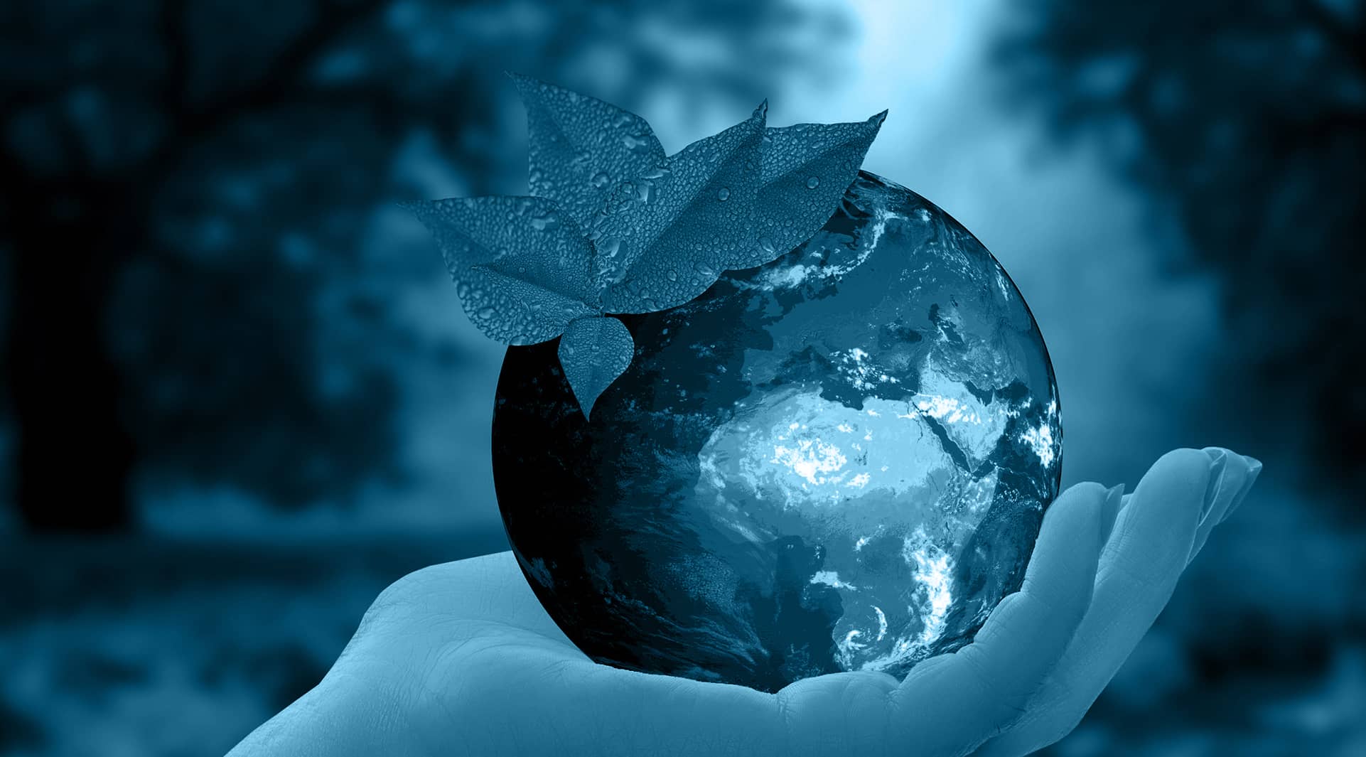 Nachhaltigkeits Bericht