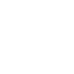 Innovations- und Geschäftsmodellentwicklung