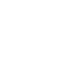 Kompetenzaufbau & Change-Begleitung