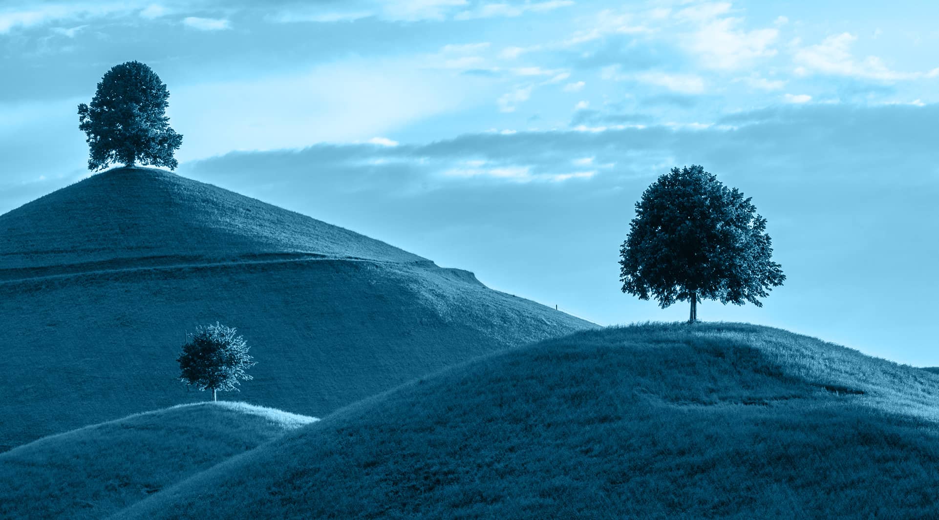 Wirtschafts­prüfungn in Nürnberg