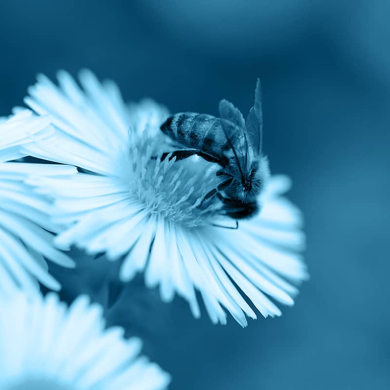 Lieferketten Sorgfaltspflicht