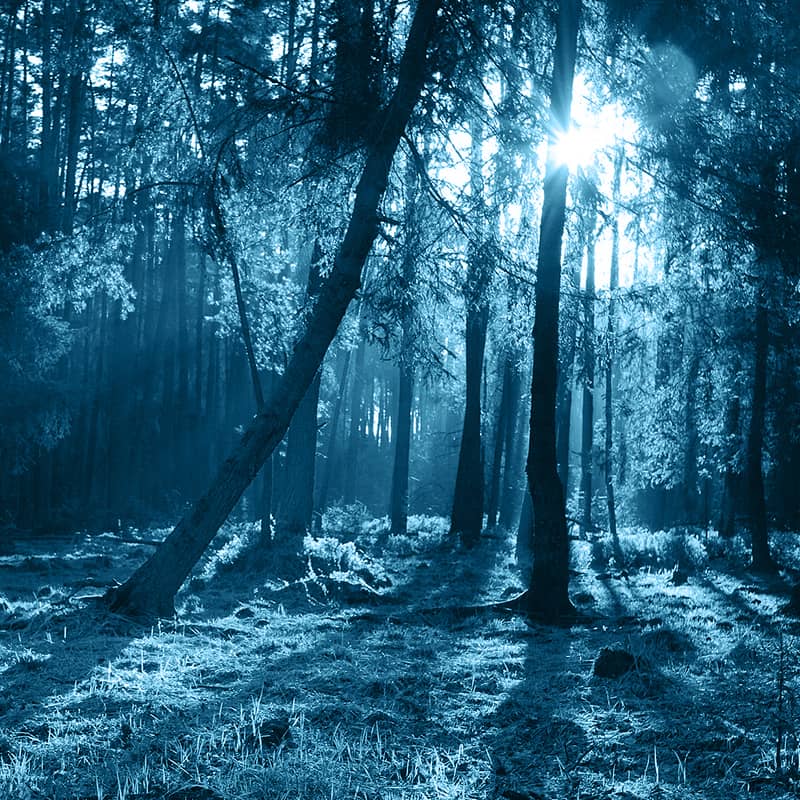 Nachhaltigkeitsbericht