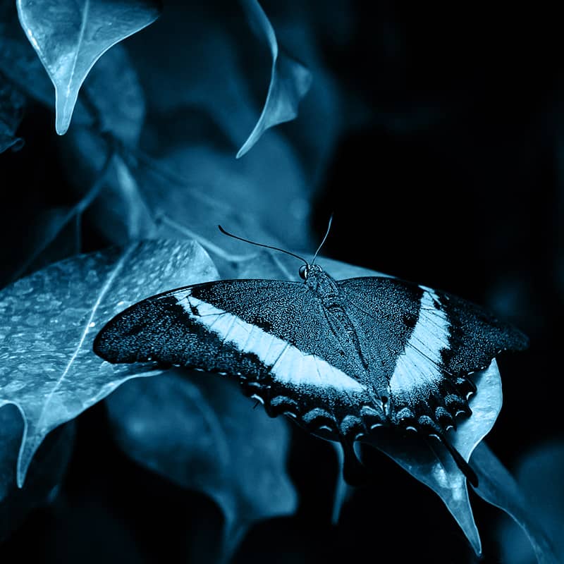 Nachhaltigkeitspflicht